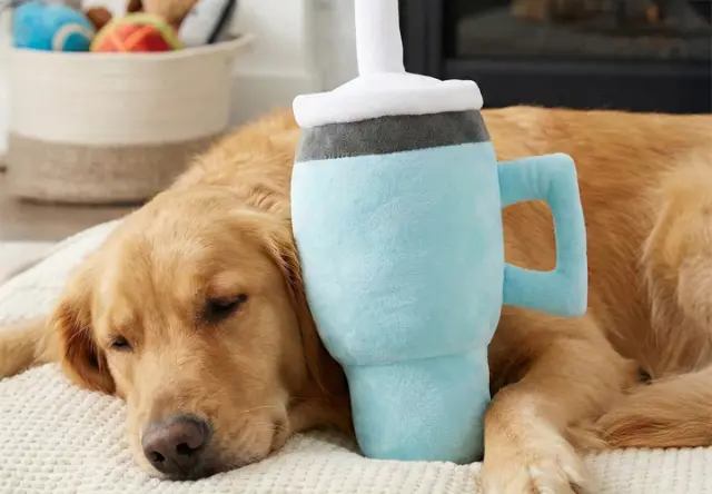 Zlatý retrívr si opírá hlavu o plyšovou hračku ve tvaru nápoje a odpočívá v útulném obývacím pokoji.