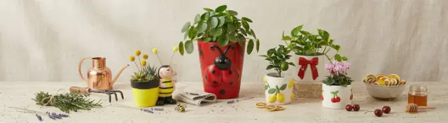 Dekorativní květináče a obaly na rostliny s pokojovými rostlinami a zahradními doplňky naaranžované na stole – přinášejí svěží barvy a přírodní atmosféru do domova Dekorativní květináče a obaly na rostliny s pokojovými rostlinami a zahradními doplňky naaranžované na stole – přinášejí svěží barvy a přírodní atmosféru do domova