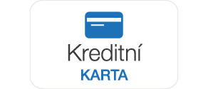 Kreditní karta